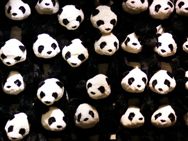 Contenido duplicado - algoritmo Panda Google